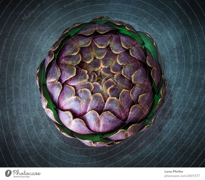 Künstlerische Darstellung von verschiedenen Artischocken Vegetarische Ernährung Tapete Küche Kunst dunkel frisch natürlich Hintergrund detailliert im Abschnitt