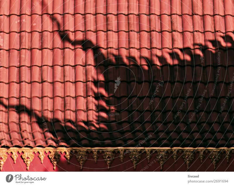 Schatten auf dem asiatischen Dach Dekoration & Verzierung Kunst Hauptstadt Gebäude Architektur Fassade Denkmal alt elegant gold rosa rot Wat wat xieng thong