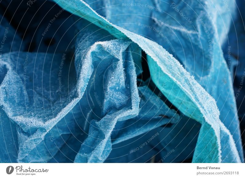 raureif Kunststoff kalt Müll Müllsack entsorgen Winter blau Faltenwurf Plastiktüte abstrakt Farbfoto Außenaufnahme Nahaufnahme Menschenleer Tag