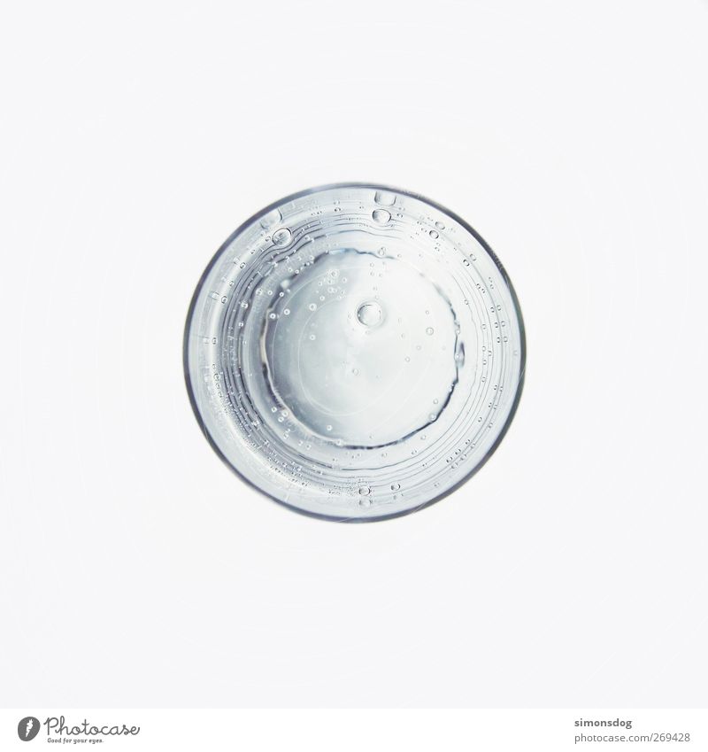just water, please Getränk Erfrischungsgetränk Trinkwasser Glas nass rein Kohlensäure Blase rund Luftblase Klarheit Wasserglas neutral Farbfoto Gedeckte Farben