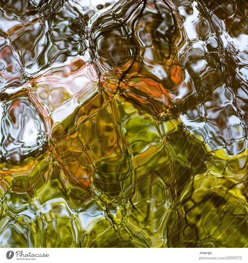 Ententeich Stil Wasser Pflanze außergewöhnlich Flüssigkeit grün orange schwarz weiß Farbe Surrealismus Teich Farbfoto Außenaufnahme abstrakt Strukturen & Formen
