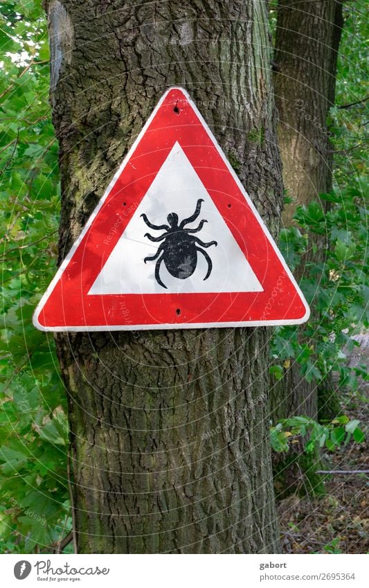 tick insect warning sign in forest Natur wandern grün rot lyme Tick disease parasite ixodes borreliosis ricinus danger arachnid arthropod pest infection