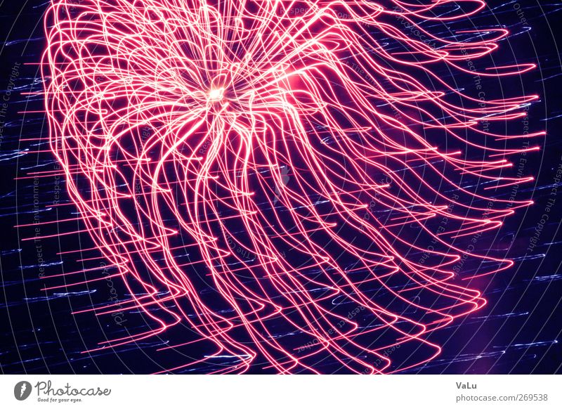 Jellyfish Nachthimmel Frühling rosa rot Freude Euphorie Feuerwerk Silvester u. Neujahr Belichtung Farbfoto Außenaufnahme Experiment abstrakt Menschenleer