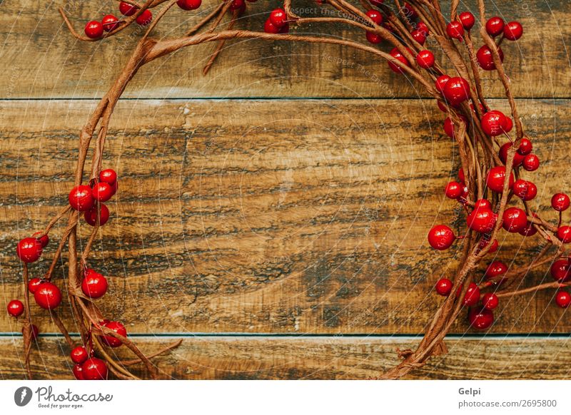 Weihnachtszweig mit roten Beeren Frucht Winter Dekoration & Verzierung Feste & Feiern Weihnachten & Advent Natur Pflanze Baum Blatt Holz neu viele grün weiß