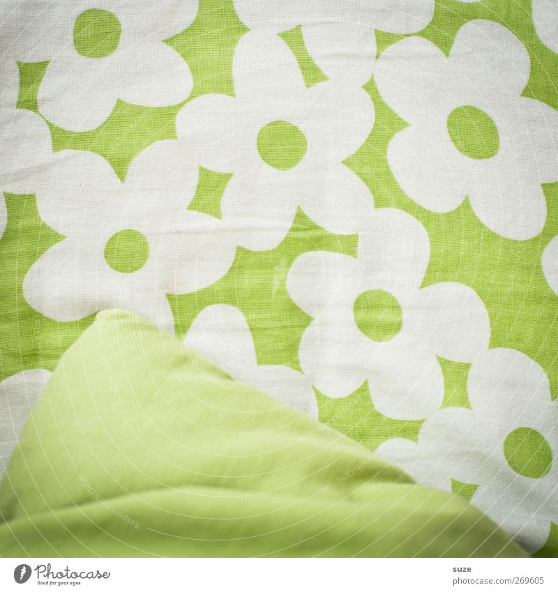 Blütenweiß Design Blume Stoff Fröhlichkeit frisch schön grün Kissen Textilien graphisch Falte Dekoration & Verzierung abstrakt Hintergrundbild Farbfoto