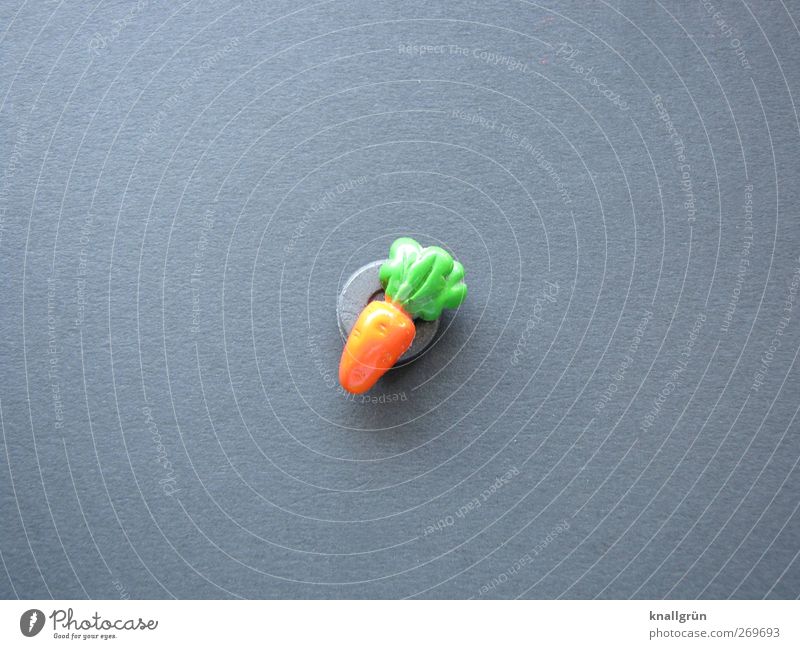 Möhrchen Lebensmittel Gemüse Möhre Ernährung Bioprodukte Vegetarische Ernährung Magnet klein grau grün orange Gesundheit Kreativität Kühlschrankmagnet Farbfoto