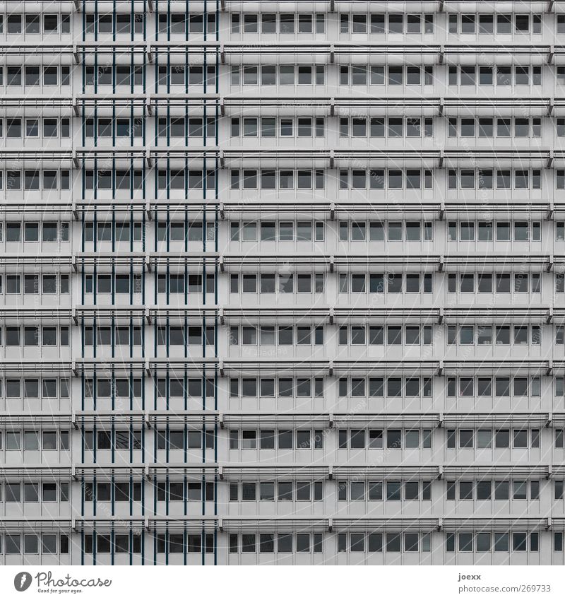 Container Stadt Haus Hochhaus Gebäude Fassade Fenster hässlich grau Farbfoto Gedeckte Farben Außenaufnahme Menschenleer Tag