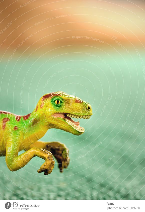 *100* Jurrasic Park Spielen Dinosaurier Tier Kunststoff gelb grün Spielzeug Krallen Kopf Gebiss Farbfoto mehrfarbig Menschenleer Textfreiraum oben