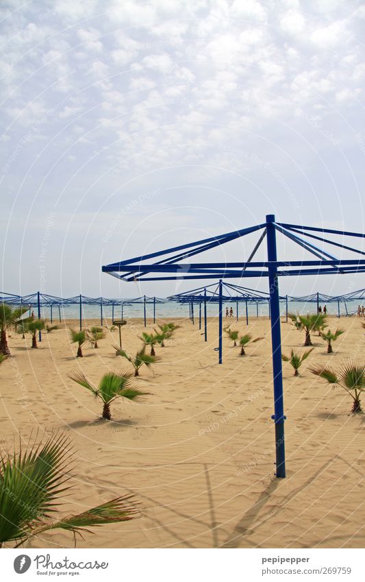 Sonnenschutz? Ferien & Urlaub & Reisen Tourismus Sommer Sommerurlaub Sonnenbad Strand Meer Insel Sand Himmel Wolken Pflanze Küste Stahl Wasser Linie alt