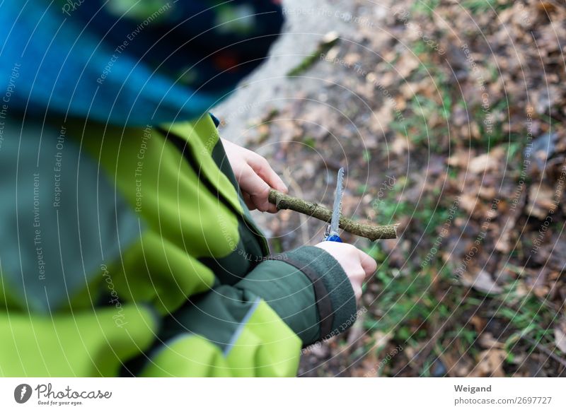 Schnitzmesser Kindererziehung lernen Junge gebrauchen grün wandern schnitzen Messer Klappmesser Natur Wald Säge Ast ferienlager Farbfoto Außenaufnahme