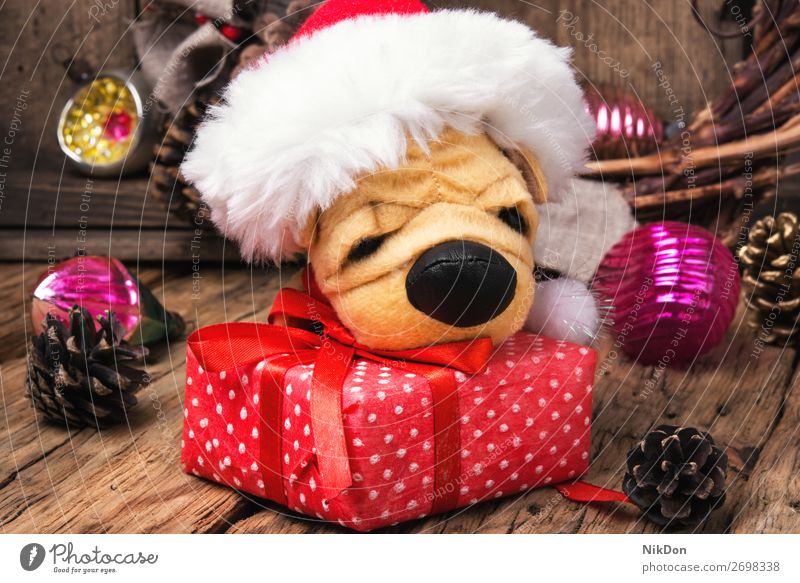 symbolischer kleiner Weihnachtshund Feiertag Hund Welpe Spielzeug Haustier Weihnachten Dekoration & Verzierung Liebling verwöhnen Geschenk Winter Jahr Dezember