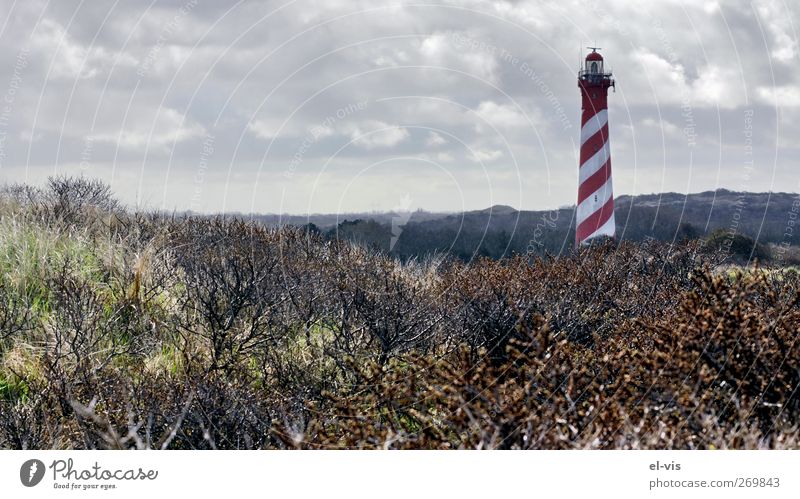 Leuchtturm auf Schouwen-Duivland, Zeeland, Holland Strand Landschaft Himmel Wolken Gewitterwolken Frühling Wetter schlechtes Wetter Sträucher Hügel Nordsee