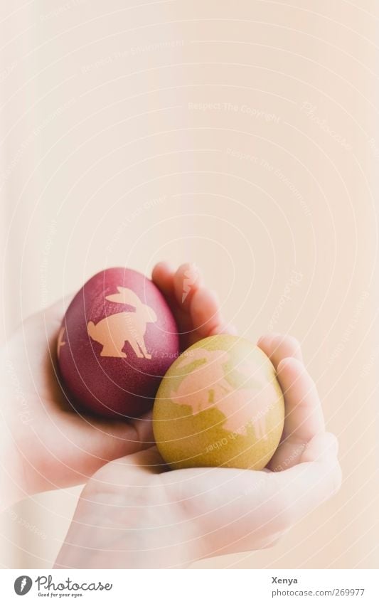 Nächster bitte! Lebensmittel Osterei Ei lustig grün rot Hand haltend Ostern Hase & Kaninchen Humor Innenaufnahme Menschenleer Textfreiraum oben