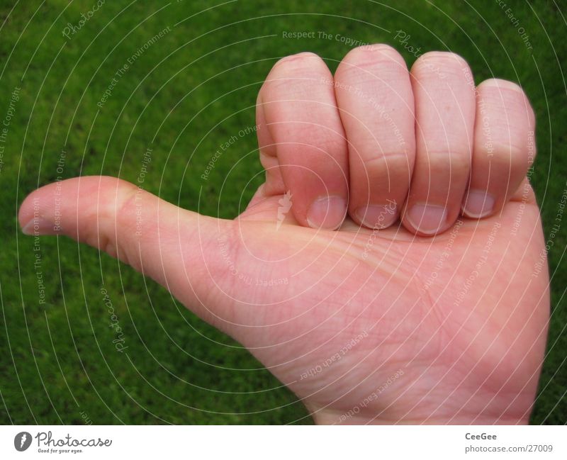 links ab Daumen Hand Finger Faust geschlossen Richtung grün gestikulieren Körperhaltung Mann Haut hoch fangen zeigen