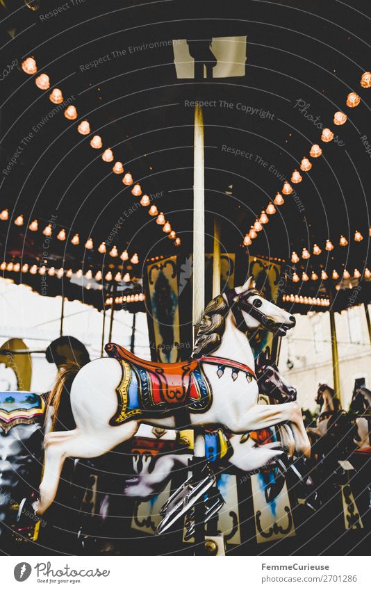 Illuminated horse carousel Freizeit & Hobby Bewegung Karussellpferd Glühbirne Beleuchtung mehrfarbig Attraktion Jahrmarkt Farbfoto Außenaufnahme Kunstlicht
