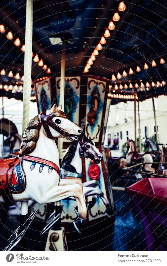 Illuminated horse carousel Freizeit & Hobby Bewegung Karussellpferd Licht Beleuchtung Attraktion Jahrmarkt Pferd Farbfoto Außenaufnahme Kunstlicht