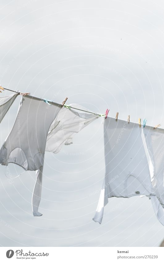 Hiddensee | Der weiße Riese war da Luft Wind Bekleidung T-Shirt Hemd Wäsche Wäscheleine Langarmshirt Wäscheklammern hängen frisch hell flattern gewaschen
