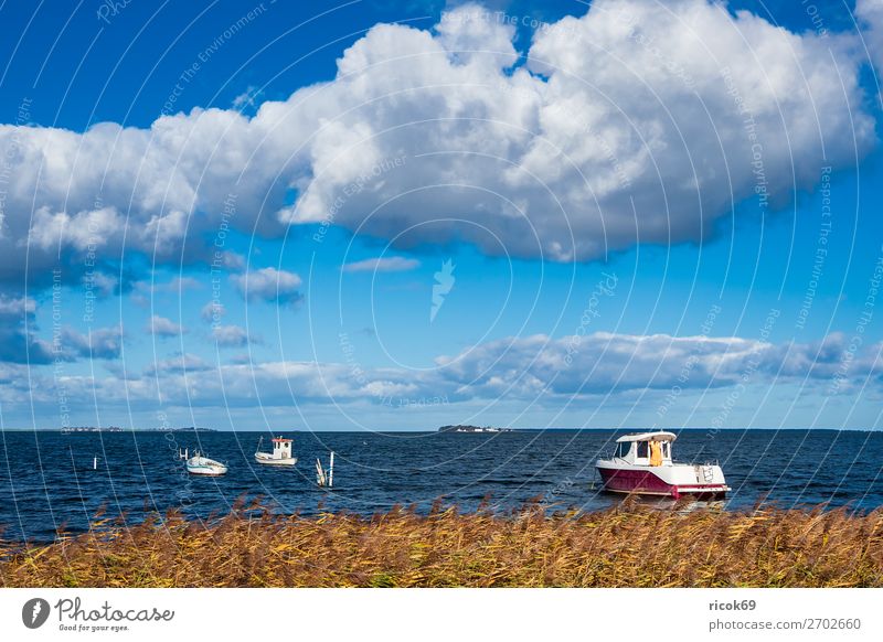 Boote auf der Ostsee in Dänemark Erholung Ferien & Urlaub & Reisen Tourismus Natur Landschaft Wasser Wolken Küste Hafen Sehenswürdigkeit Wasserfahrzeug maritim