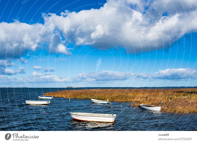 Boote auf der Ostsee in Dänemark Erholung Ferien & Urlaub & Reisen Tourismus Natur Landschaft Wasser Wolken Küste Hafen Wasserfahrzeug maritim blau gelb Idylle