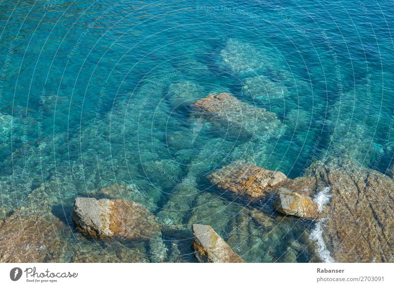 Ligurische Schönheit Umwelt Natur Wasser Sommer Wellen Küste Seeufer Bucht Meer Flüssigkeit frisch Sauberkeit blau Italien Ligurien Stein türkis weiß
