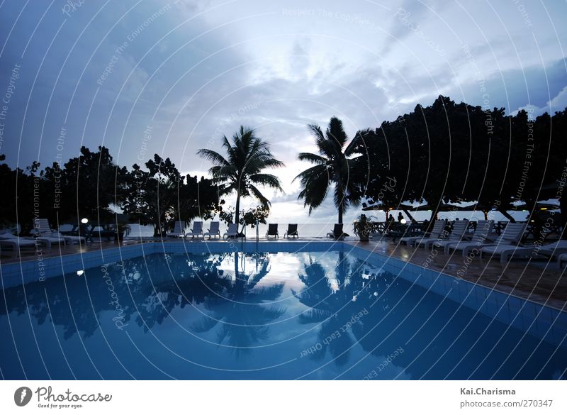 Pool und Meer in Fiji Ferien & Urlaub & Reisen Tourismus Ferne Freiheit Sommerurlaub Strand Insel blau Farbfoto Außenaufnahme Textfreiraum oben