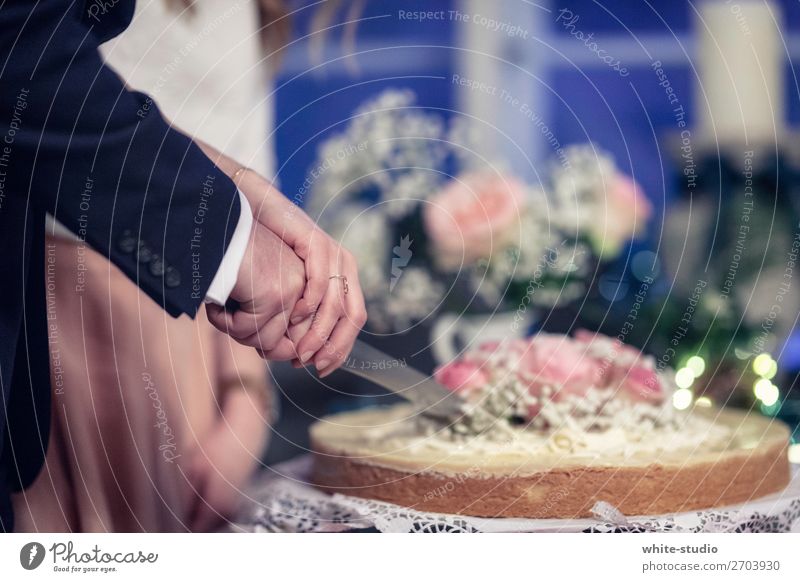 Zeit für Hochzeitstorte Paar Partner Liebe schneiden Anschnitt Kuchen Messer Torte Hochzeitsfeier Hochzeitspaar Hochzeitszeremonie Ehepaar Zusammensein Hand
