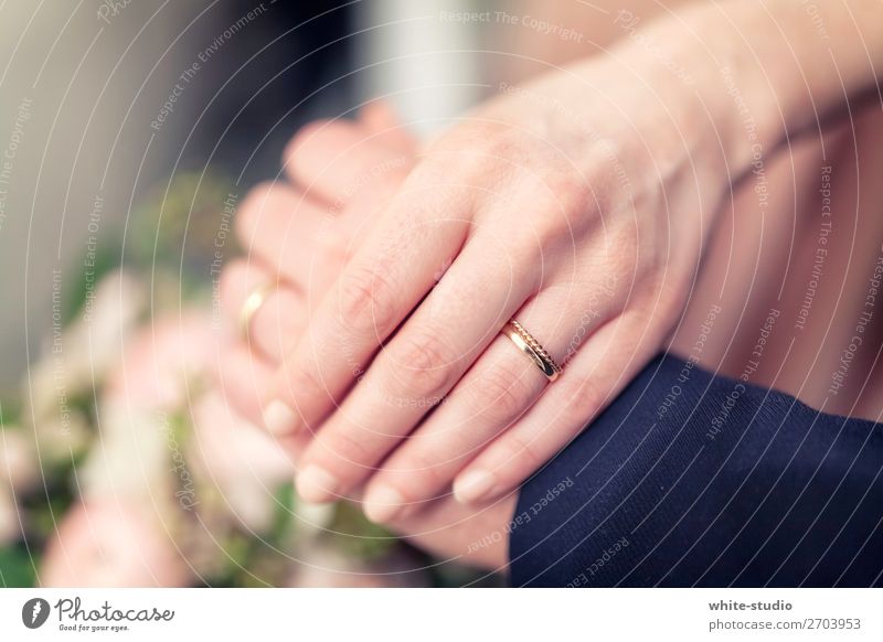 Zusammensein Paar Liebe Ehering Hochzeitspaar Partner Partnerschaft Eheversprechen Liebespaar Heiratsantrag Ehefrau Ehemann Farbfoto