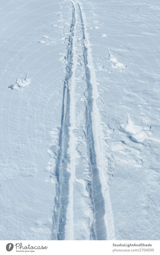 Skispuren im Schnee Lifestyle Erholung Winter Sport Natur Wege & Pfade Fährte frisch natürlich weiß Bahn Spuren üben Gesundheit Aktion Jahreszeiten