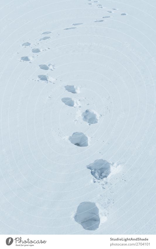 Fußspuren im Schnee Winter Mensch Natur Wege & Pfade Fährte frisch natürlich weiß Fußstapfen Spur Spuren Bahn tief kalt Hintergrund Konsistenz Feld Spaziergang