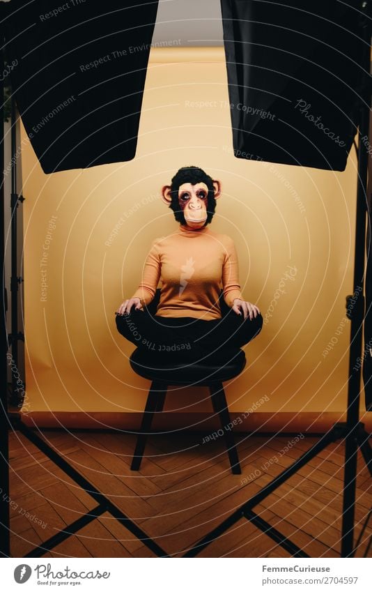 Woman with monkey mask sitting in photo studio feminin Frau Erwachsene 1 Mensch 18-30 Jahre Jugendliche 30-45 Jahre Freude Fotostudio Studioaufnahme home studio