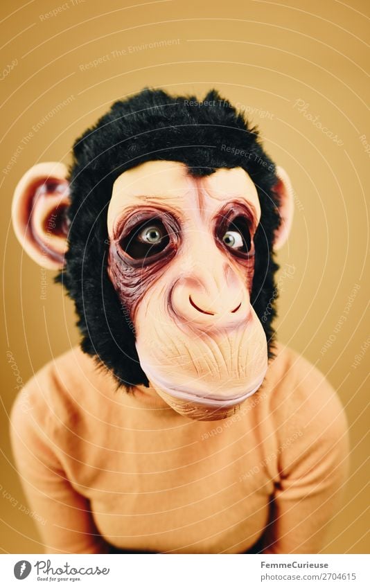 Woman with monkey mask starring into the camera feminin Frau Erwachsene 1 Mensch 18-30 Jahre Jugendliche 30-45 Jahre Freude Affen Schimpansen Latex Maske