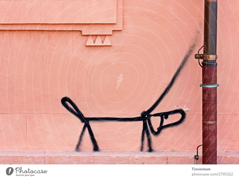 Was geht? Mauer Wand Hund Graffiti Freundlichkeit lustig Fallrohr Blitzableiter Sims Dekoration & Verzierung Fassade Kupfer Farbfoto Außenaufnahme Menschenleer
