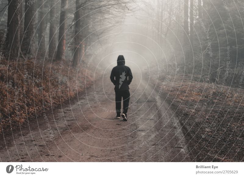 Unklares Ziel Lifestyle Ausflug Winter Mensch maskulin Junger Mann Jugendliche 1 13-18 Jahre Natur Herbst Nebel Wald Bewegung laufen gruselig kalt Stimmung