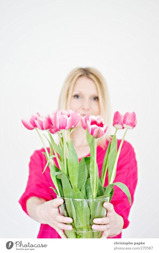 Durch die Blume gesprochen Stil Freude Dekoration & Verzierung feminin Junge Frau Jugendliche 1 Mensch 18-30 Jahre Erwachsene 30-45 Jahre Pflanze Tulpe Blatt