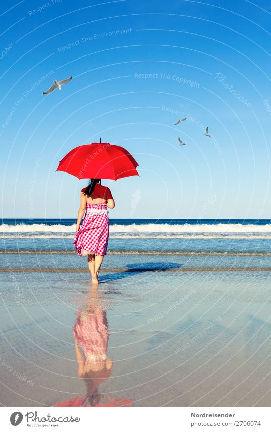 Spaziergang am Meer Ferien & Urlaub & Reisen Freiheit Sommer Sommerurlaub Sonne Strand Mensch feminin Frau Erwachsene Natur Landschaft Urelemente Wasser