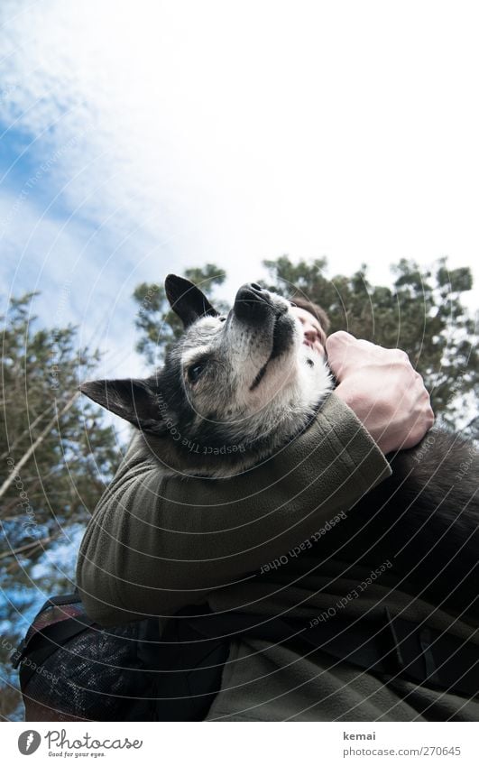 Hiddensee | Der den Wolf trägt maskulin Nase Arme 1 Mensch Tier Haustier Hund Tiergesicht Fell Ohr tragen groß oben riesig Hundeschnauze Zufriedenheit Farbfoto