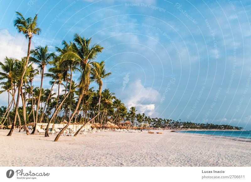 Bavaro Strände in Punta Cana, Dominikanische Republik Ferien & Urlaub & Reisen Tourismus Sommer Strand Meer Insel Umwelt Natur Sand Baum Blatt Küste Fernweh