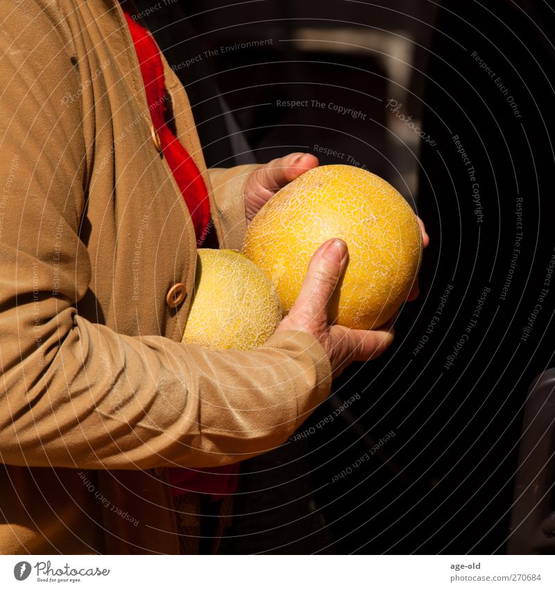 My whopper Frucht Melonen Gesunde Ernährung feminin Hand Finger 1 Mensch Sommer Jacke wählen kaufen lecker braun gelb grün Glück Zufriedenheit genießen Leben