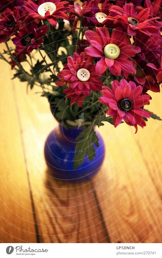 Eines Knopfstrauß Natur Pflanze Blume Blühend schön verrückt feminin Vase Knöpfe Bodenbelag Holzfußboden Dekoration & Verzierung außergewöhnlich Farbfoto