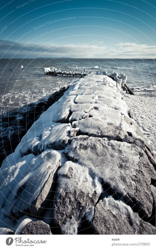 Frostschutz Meer Winter Schnee Umwelt Natur Landschaft Urelemente Luft Himmel Horizont Klima Wetter Eis Küste Ostsee Stein kalt Winterstimmung gefroren steinig