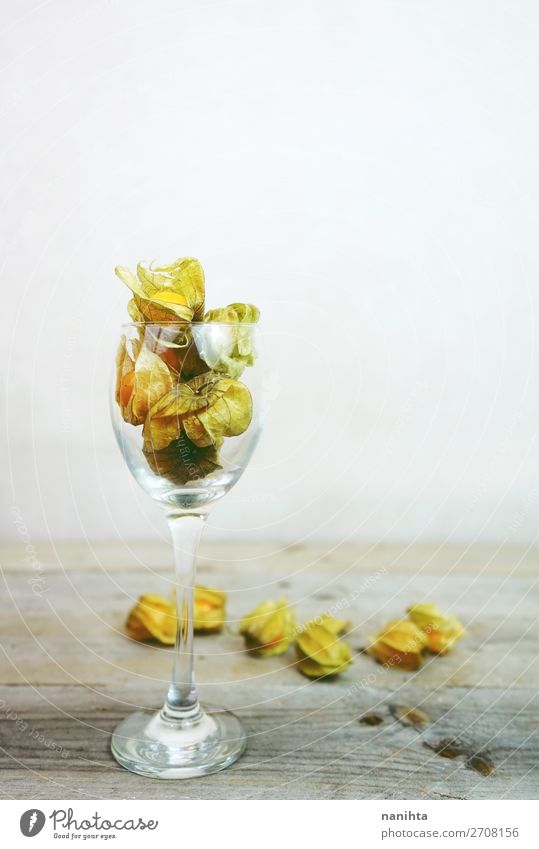 Schöne und elegante Makro-Nahaufnahme der Physalis Lebensmittel Frucht Dessert Ernährung Bioprodukte Vegetarische Ernährung Glas Design exotisch schön Tisch