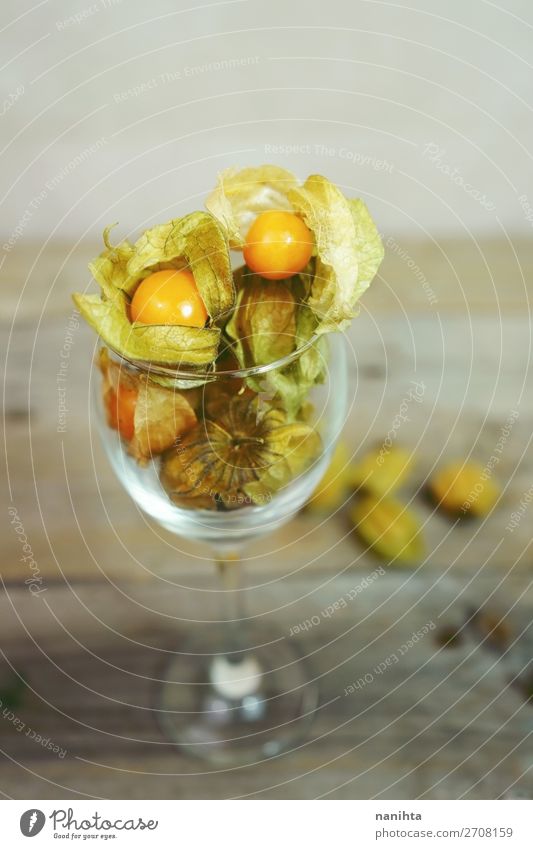 Schöne und elegante Makro-Nahaufnahme einer Physalis Frucht Dessert Ernährung Bioprodukte Design exotisch schön Tisch Restaurant Pflanze Blatt Holz einfach