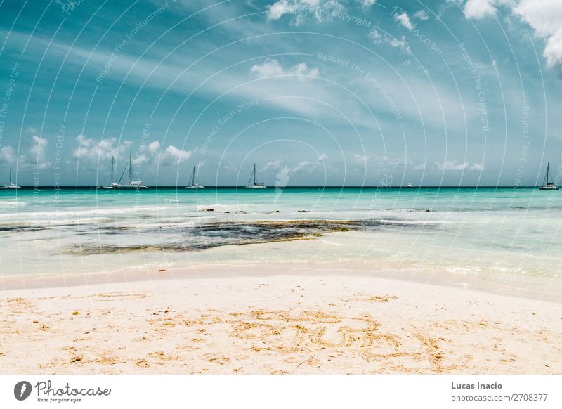 Saona Insel bei Punta Cana, Dominikanische Republik Ferien & Urlaub & Reisen Tourismus Sommer Strand Meer Umwelt Natur Sand Küste Fernweh amerika Amerikaner