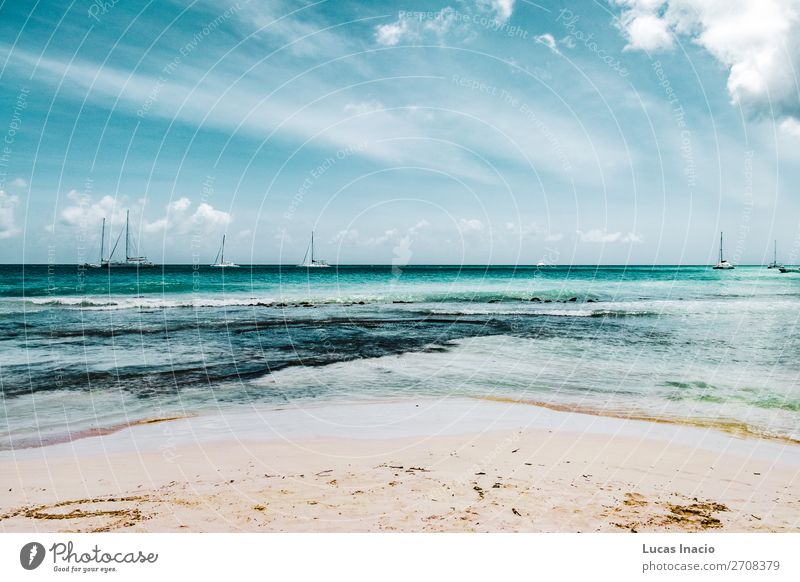 Saona Insel bei Punta Cana, Dominikanische Republik Ferien & Urlaub & Reisen Tourismus Sommer Strand Meer Umwelt Natur Sand Küste Fernweh amerika Amerikaner