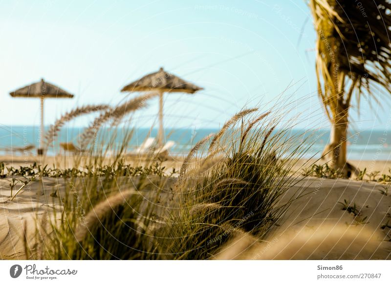 Sommer dream Ferien & Urlaub & Reisen Tourismus Sommerurlaub Strand Meer Natur Landschaft Sand Wasser Himmel Horizont Grünpflanze blau Freizeit & Hobby Gefühle