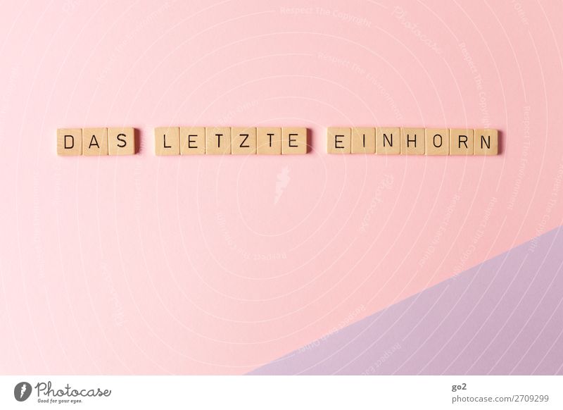 Das letzte Einhorn Spielen Papier Dekoration & Verzierung Kitsch Krimskrams Holz Schriftzeichen außergewöhnlich fantastisch Unendlichkeit verrückt feminin rosa