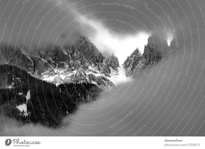 Alpen im Unwetter wandern Ausflug Abenteuer Ferne Winter Schnee Winterurlaub Berge u. Gebirge Natur Landschaft Himmel Wolken schlechtes Wetter Nebel Felsen
