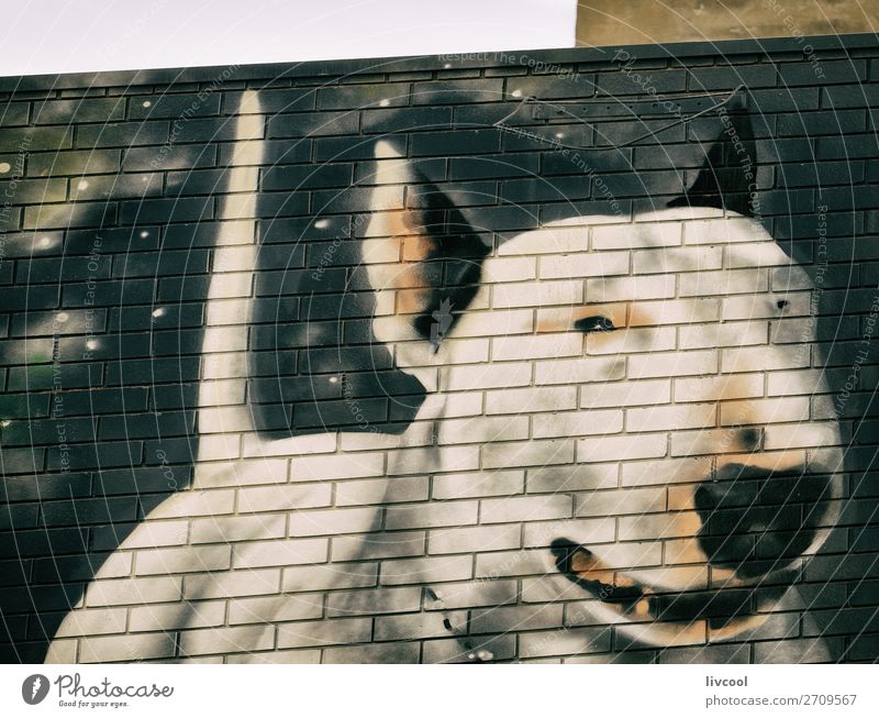 Hundegraffiti an der Wand, fitzroy-melbourne Lifestyle elegant Stil Kunst Kunstwerk Architektur Kultur Tier Straße Haustier 1 Graffiti authentisch