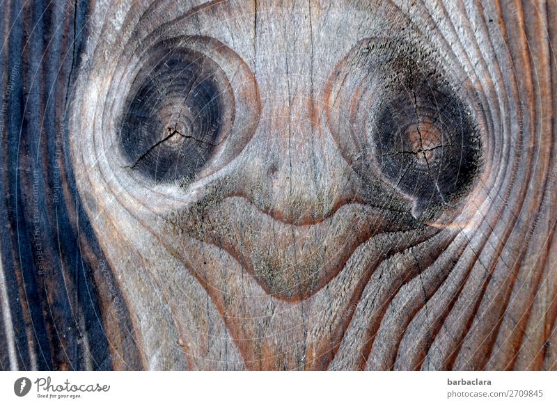 Holterdipolter | Poltergeist Kopf Gesicht Märchenfigur Holz Linie Figur Lächeln Blick außergewöhnlich Coolness fantastisch Gefühle Freude bizarr Kunst Natur