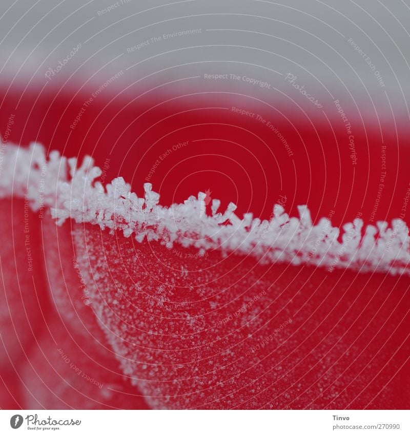Himbeerkaltschale Winter Eis Frost rot weiß gefroren Raureif Eiskristall Plastikfigur Schalen & Schüsseln Farbfoto Außenaufnahme Nahaufnahme abstrakt